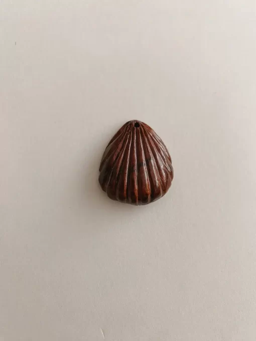 Sea Shell necklace
