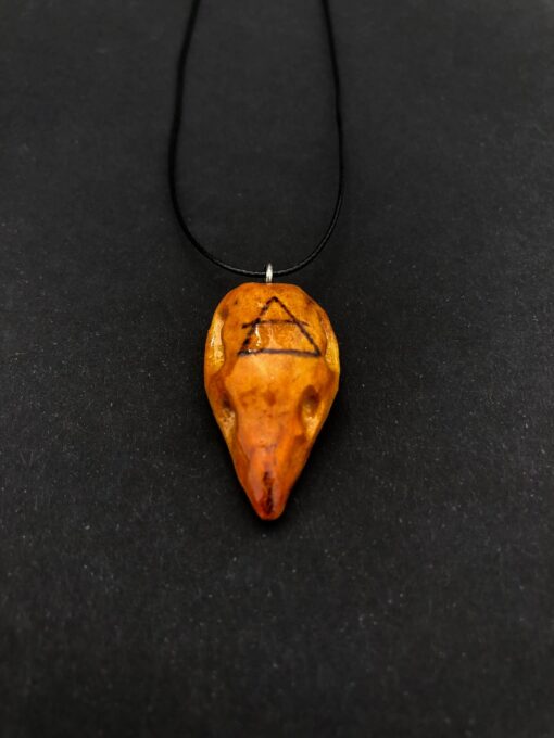 Raven Skull with Air Symbol - Image 2